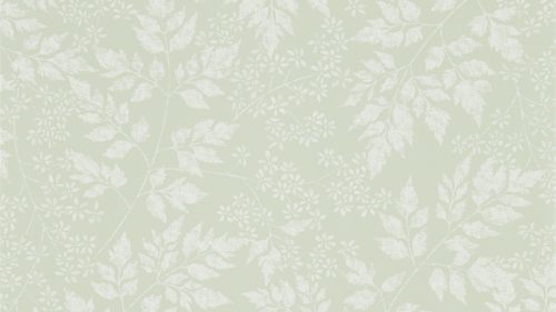 Spring Leaves 216372